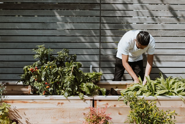 Plotting Your Garden Masterclass