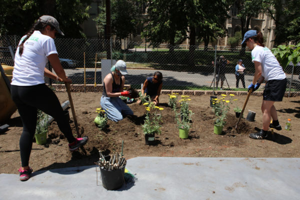 DENVER, CO - JULY 09:  during the Spark the Change Volunteer Event at Morey Middle School on Friday, July 9, 2021 in Denver, Colorado. (Photo by Eve Kilsheimer/MLB Photos via Getty Images)