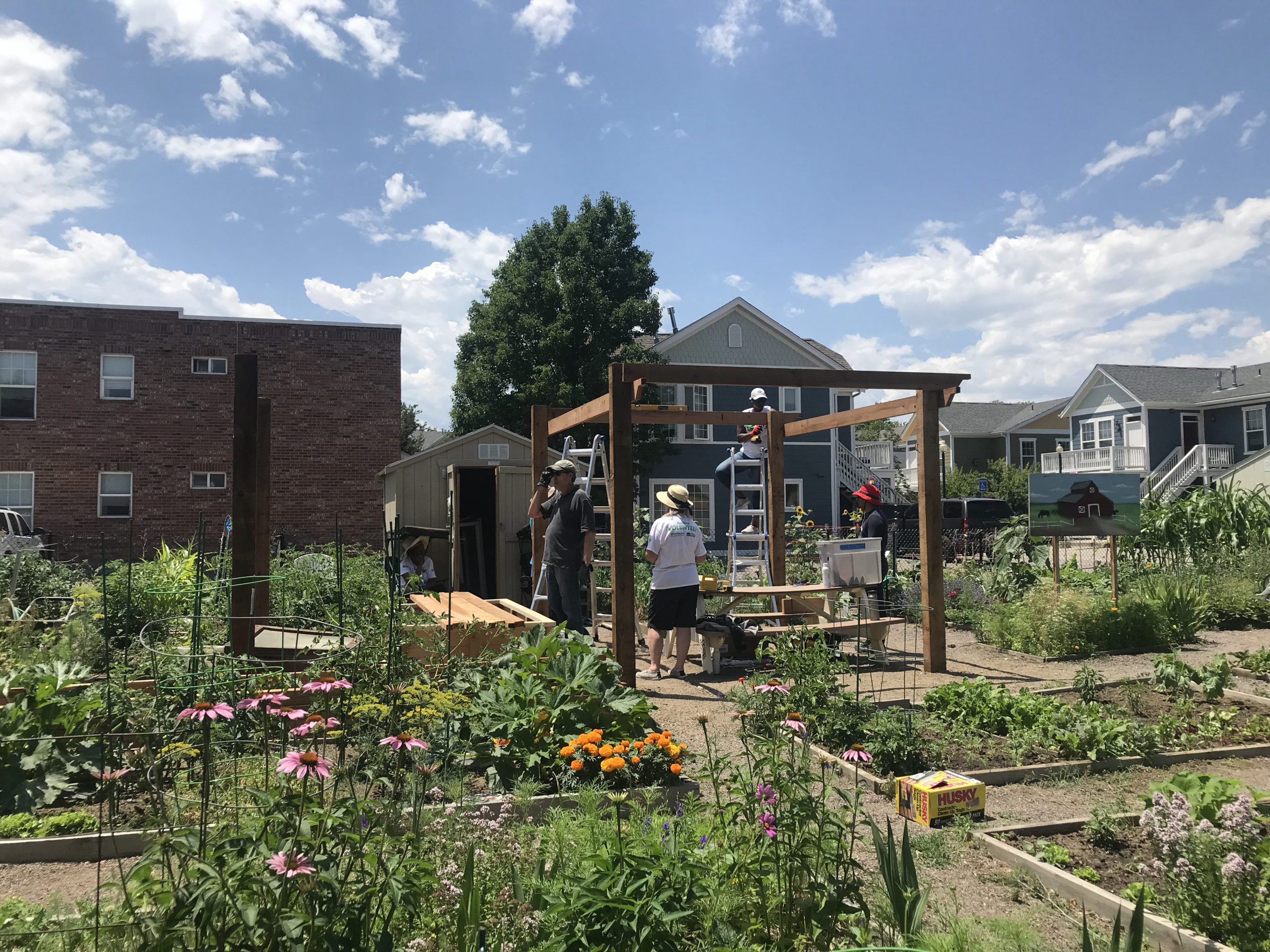 The Garden in August