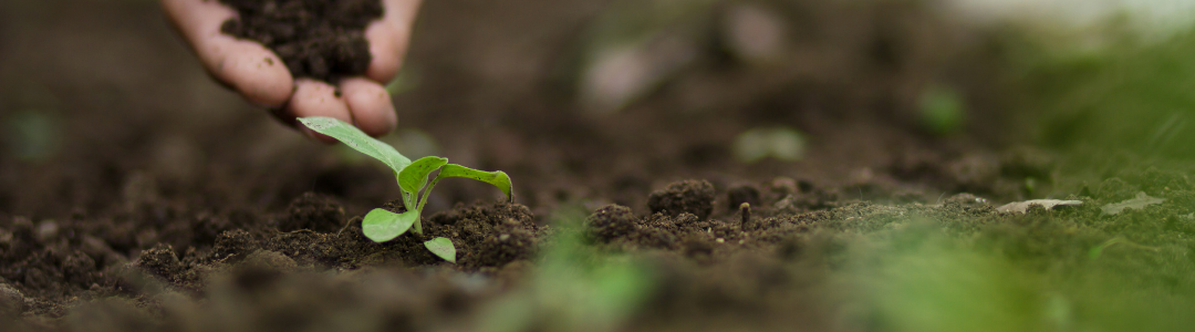 Take the Planting Pledge