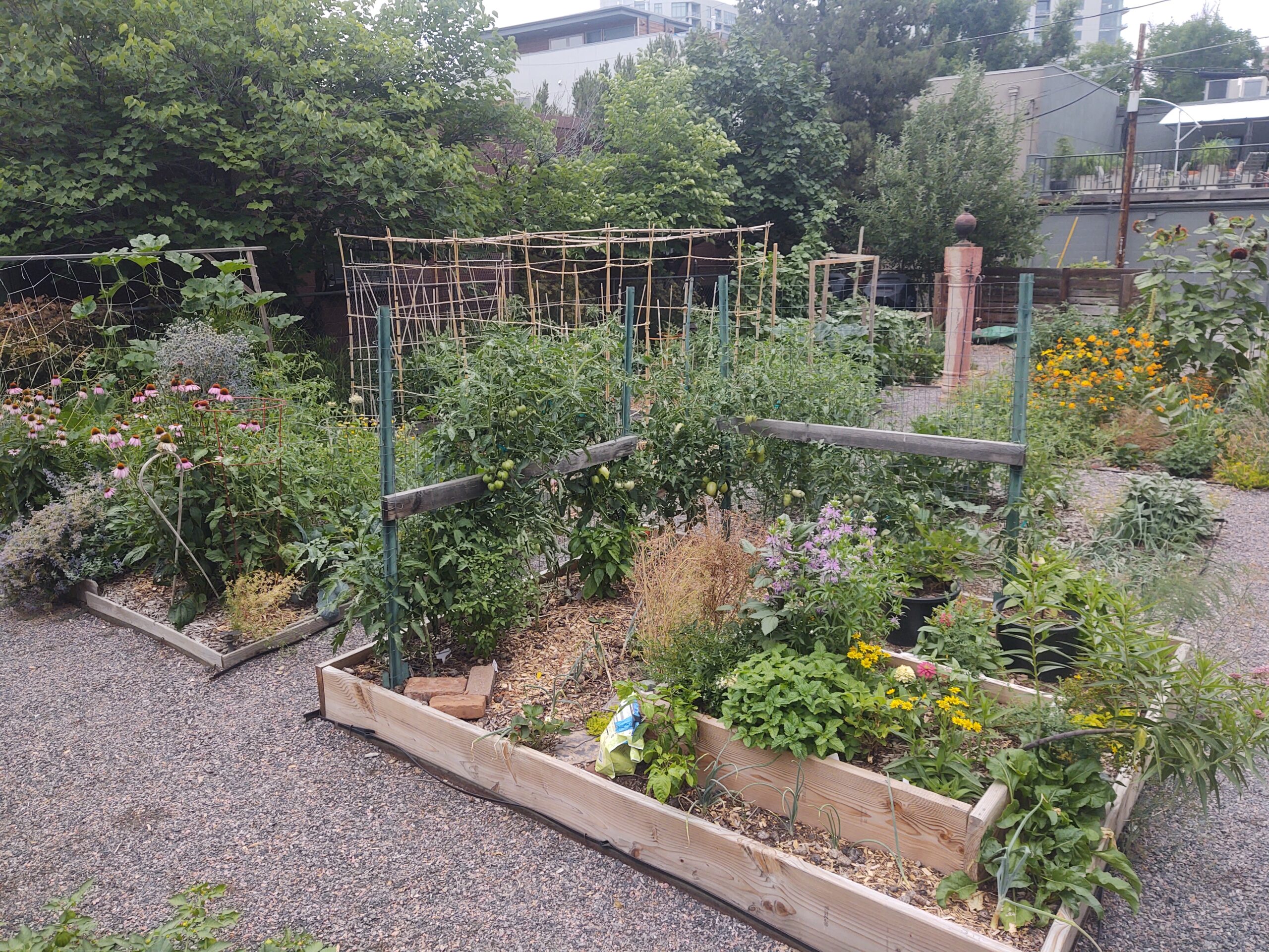 How to Edge a Garden Plot with Wood