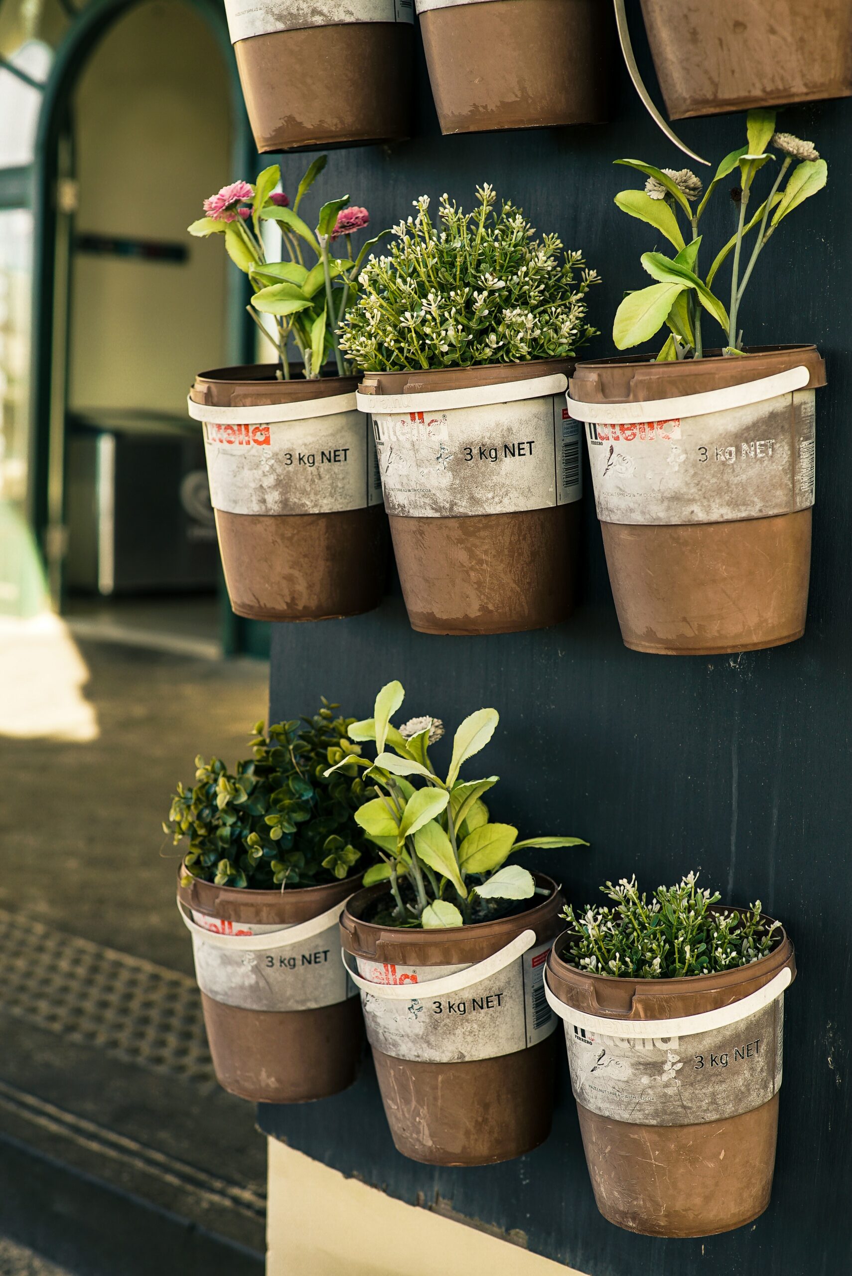 Guía para la jardinería en recipientes