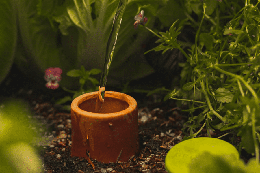 Photo of a GrowOya watering pot underground being used