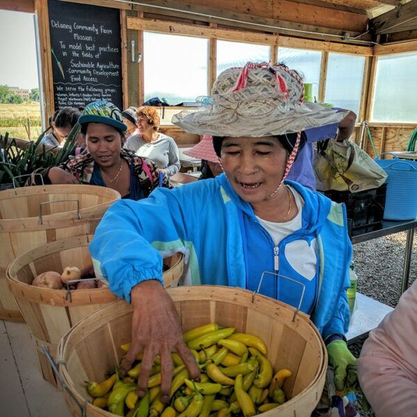 2016-DeLaney-Picking-Peppers